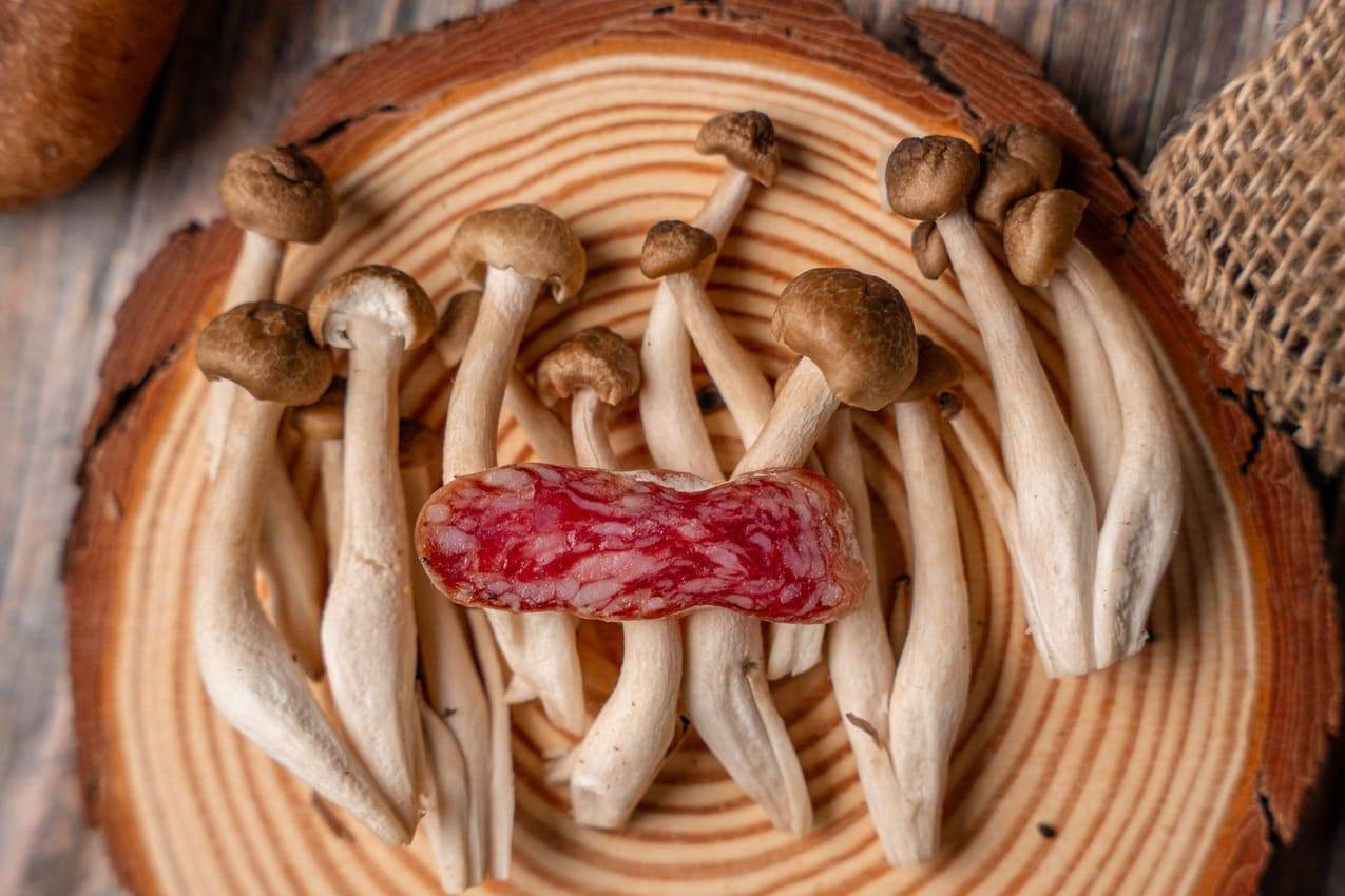 Fuet de boletus - Impero Fuet